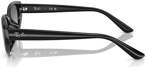 Ray-Ban RB 4457D 667711
