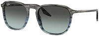 Ray-Ban RB 2203 1391GK