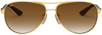 Ray-Ban RB 8313 001/51