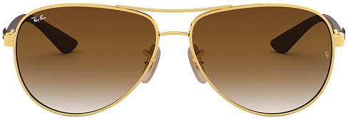 Ray-Ban RB 8313 001/51