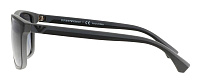 Emporio Armani EA 4033 5229T3