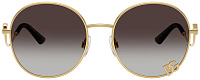 Dolce & Gabbana DG 2324 02/8G