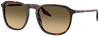 Ray-Ban RB 2203 14290A