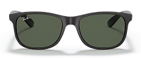 Ray-Ban RB 4202 606971