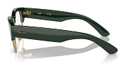 Ray-Ban RX 0316V 8233