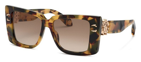Roberto Cavalli SRC056M AGG