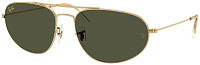 Ray-Ban RB 3945 919631