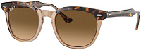 Ray-Ban RB 2298 1292M2
