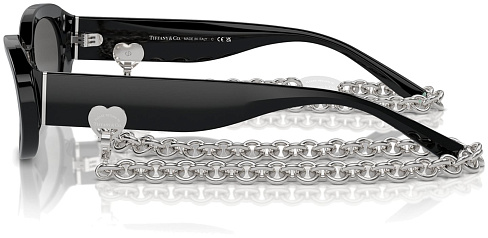 Tiffany & Co TF 4221 8001S4