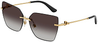 Dolce & Gabbana DG 2321 02/8G