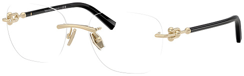 Tiffany & Co TF 1170D 6021