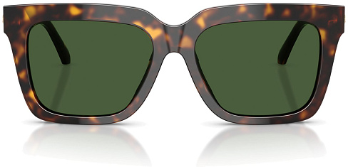 Versace VE 4498 108/71