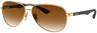 Ray-Ban RB 8313 001/51