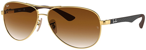 Ray-Ban RB 8313 001/51