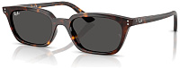 Ray-Ban RB 4456 135987