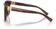 Dolce & Gabbana DG 4498 322274