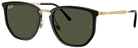 Ray-Ban RB 4451 630631