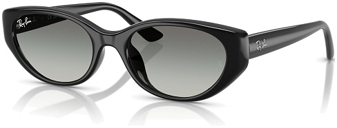 Ray-Ban RB 4457D 667711