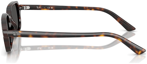 Ray-Ban RB 4455 135987