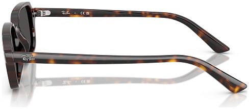 Ray-Ban RB 4455 135987