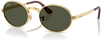 Ray-Ban RB 3931 001/31