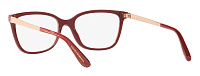 Dolce & Gabbana DG 3317 3219