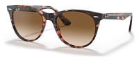 Ray-Ban RB 2185 133451