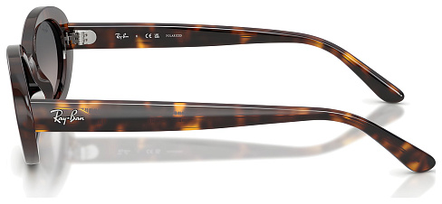 Ray-Ban RB 2223 902/M3