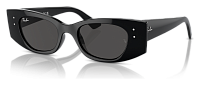 Ray-Ban RB 4427 667787