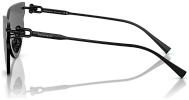 Tiffany & Co TF 3097TD 6205S4