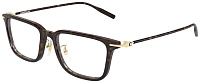 Montblanc MB 0489OA 002