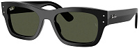 Ray-Ban RB 7683S 901/31