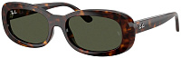 Ray-Ban RB 2221 902/31