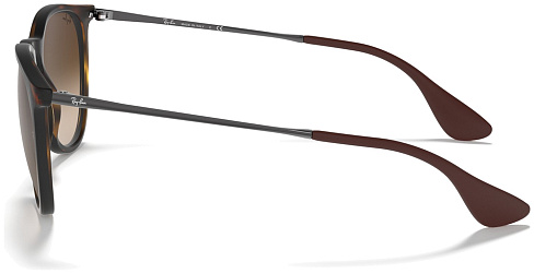 Ray-Ban RB 4171 865/13