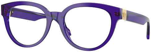 Versace VE 3384 5545