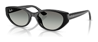 Ray-Ban RB 4457D 667711