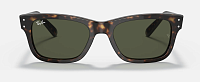 Ray-Ban RB 2283 902/31