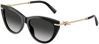 Tiffany & Co TF 4253F 80013C