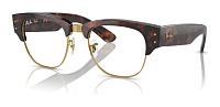 Ray-Ban RX 0316V 2372