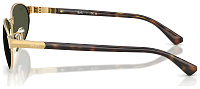Ray-Ban RB 3777 001/31