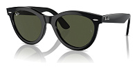 Ray-Ban RB 2241 901/31