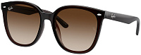 Ray-Ban RB 4423D 714/13