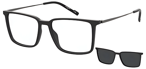Pierre Cardin P.C. 6290/C 003