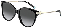 Tiffany & Co TF 4193B 8001T3