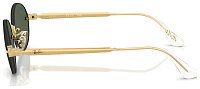 Ray-Ban RB 3929 001/71