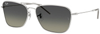 Ray-Ban RB R0102S 003/11