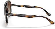 Ray-Ban RB 4376 710/13