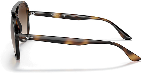 Ray-Ban RB 4376 710/13