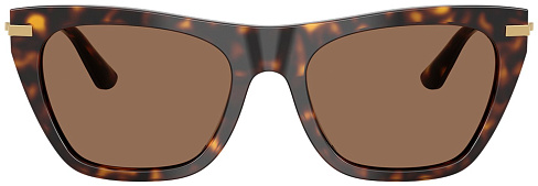 Dolce & Gabbana DG 4511 502/73
