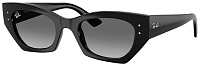 Ray-Ban RB 4430 667711